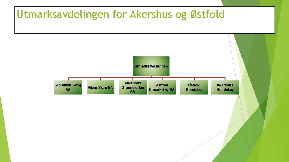 Utmarksavdelingen for Akershus og Østfold Utmarksavdelingen Glommen Skog SA Viken Skog SA Akershus Grunneierlag