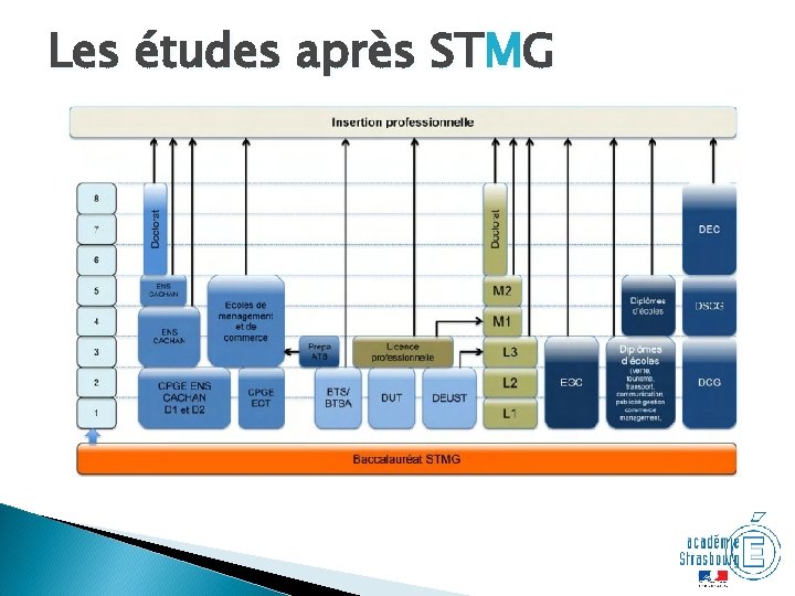 Les études après STMG 