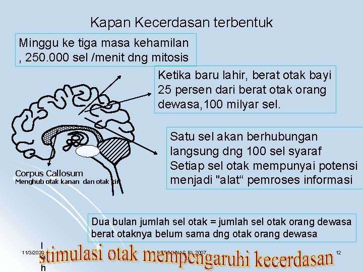 Kapan Kecerdasan terbentuk Minggu ke tiga masa kehamilan , 250. 000 sel /menit dng