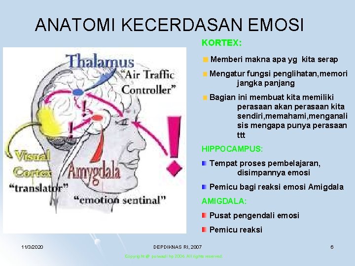 ANATOMI KECERDASAN EMOSI KORTEX: Memberi makna apa yg kita serap Mengatur fungsi penglihatan, memori