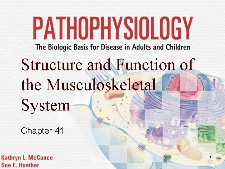 Structure and Function of the Musculoskeletal System Chapter 41 1 