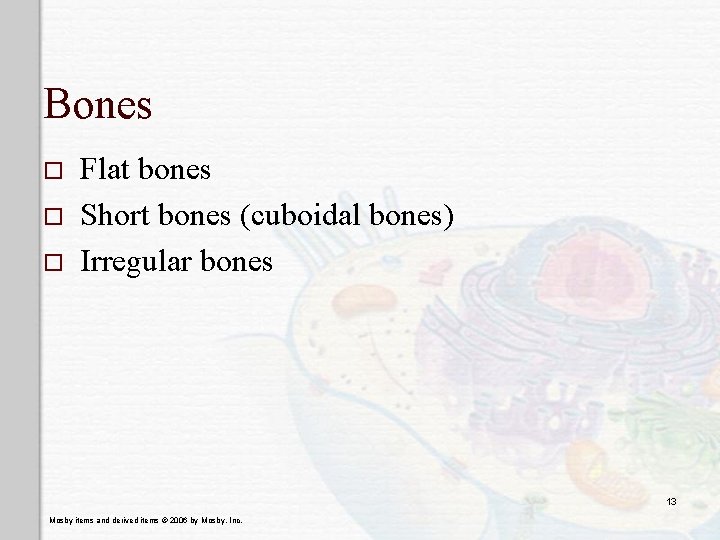 Bones o o o Flat bones Short bones (cuboidal bones) Irregular bones 13 Mosby