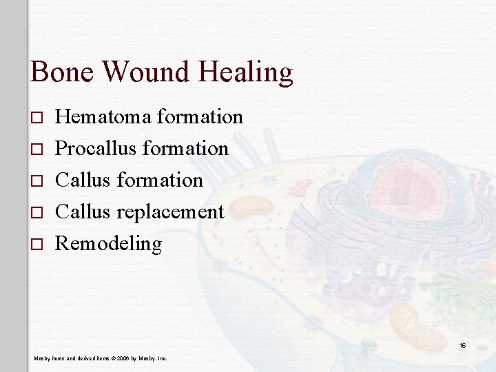 Bone Wound Healing o o o Hematoma formation Procallus formation Callus replacement Remodeling 16
