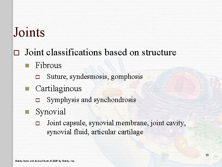Joints o Joint classifications based on structure n Fibrous o n Cartilaginous o n