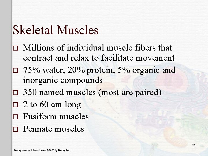 Skeletal Muscles o o o Millions of individual muscle fibers that contract and relax