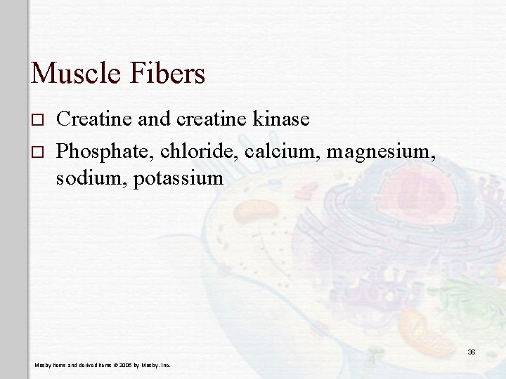 Muscle Fibers o o Creatine and creatine kinase Phosphate, chloride, calcium, magnesium, sodium, potassium