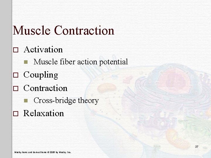 Muscle Contraction o Activation n o o Coupling Contraction n o Muscle fiber action