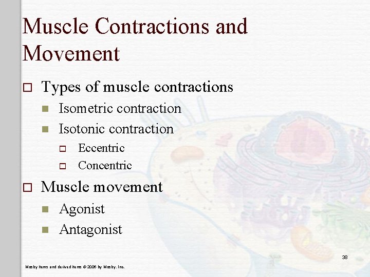 Muscle Contractions and Movement o Types of muscle contractions n n Isometric contraction Isotonic