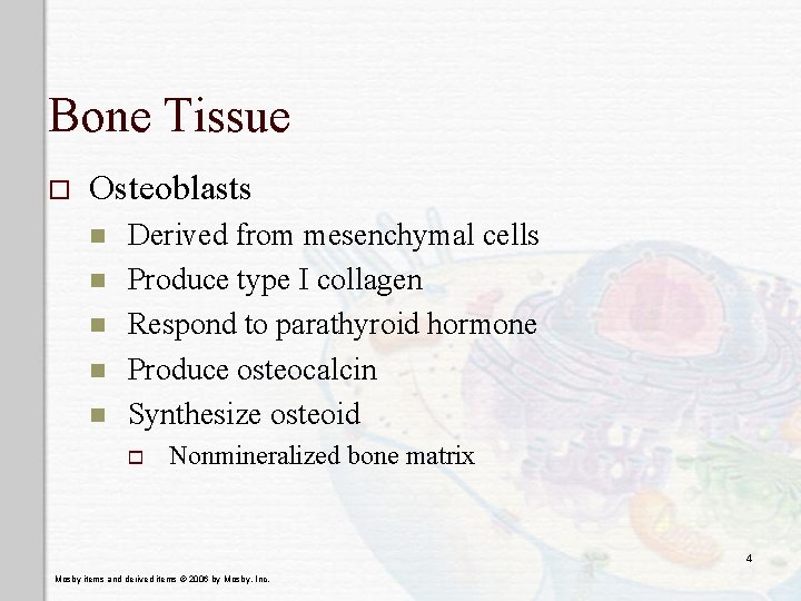 Bone Tissue o Osteoblasts n n n Derived from mesenchymal cells Produce type I