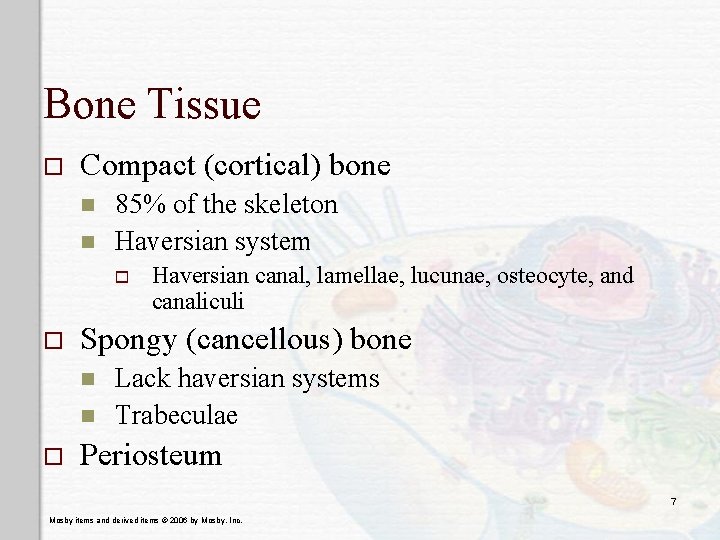 Bone Tissue o Compact (cortical) bone n n 85% of the skeleton Haversian system