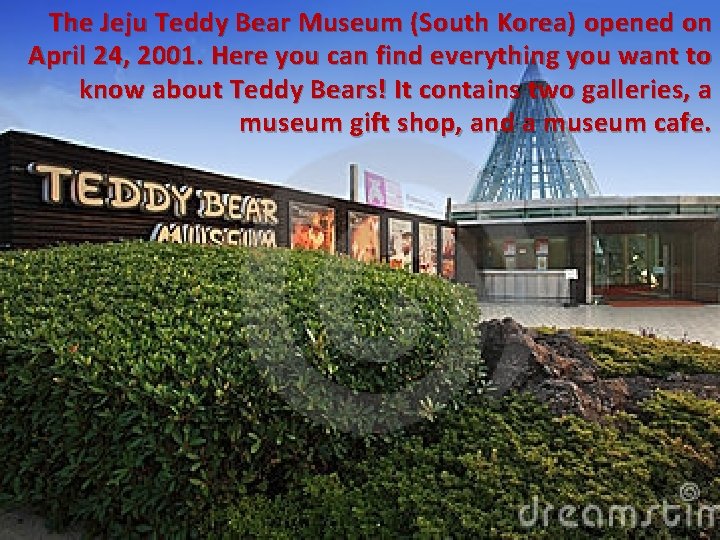 The Jeju Teddy Bear Museum (South Korea) opened on April 24, 2001. Here you