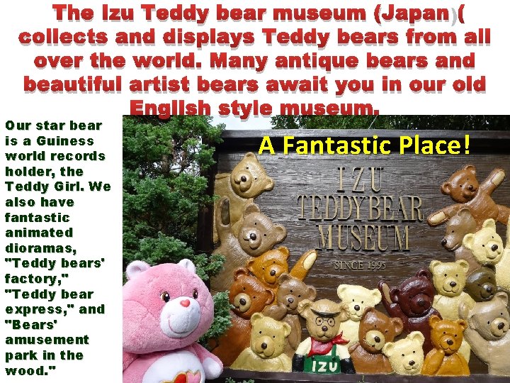 The Izu Teddy bear museum (Japan) collects and displays Teddy bears from all over