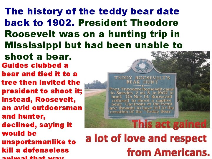The history of the teddy bear date back to 1902. President Theodore Roosevelt was