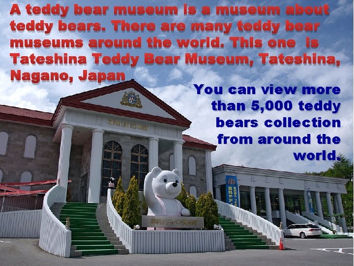 A teddy bear museum is a museum about teddy bears. There are many teddy