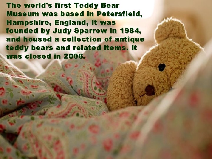 The world's first Teddy Bear Museum was based in Petersfield, Hampshire, England, It was