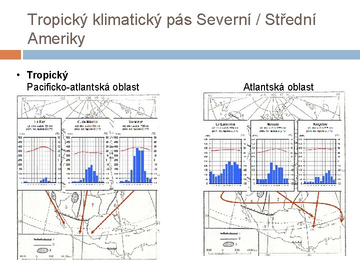 Tropický klimatický pás Severní / Střední Ameriky • Tropický Pacificko-atlantská oblast Atlantská oblast 