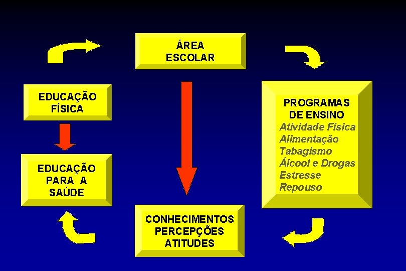 ÁREA ESCOLAR EDUCAÇÃO FÍSICA PROGRAMAS DE ENSINO Atividade Física Alimentação Tabagismo Álcool e Drogas