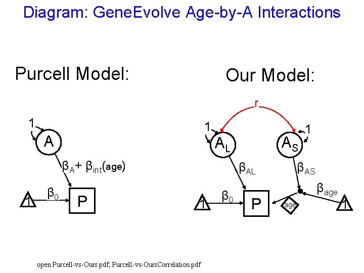 Diagram: Gene. Evolve Age-by-A Interactions Purcell Model: Our Model: r 1 1 A βA+