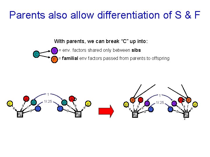 Parents also allow differentiation of S & F With parents, we can break “C”