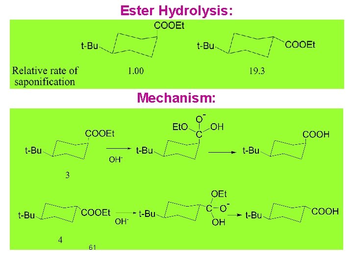 Ester Hydrolysis: Mechanism: 61 