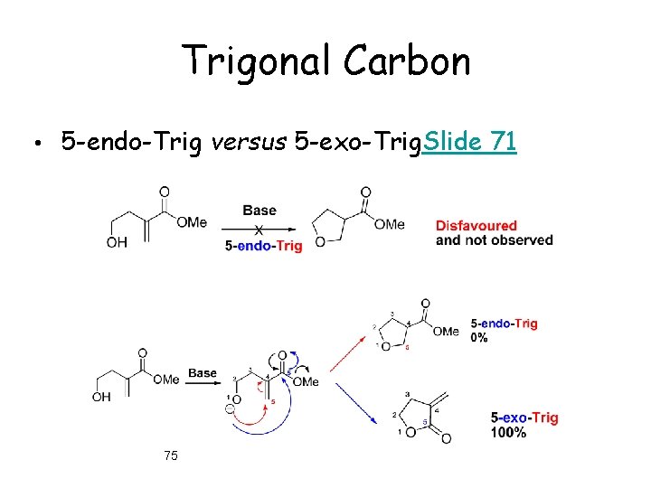 Trigonal Carbon • 5 -endo-Trig versus 5 -exo-Trig. Slide 71 75 