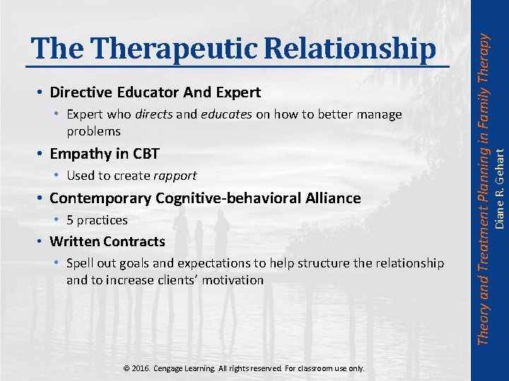  • Expert who directs and educates on how to better manage problems •