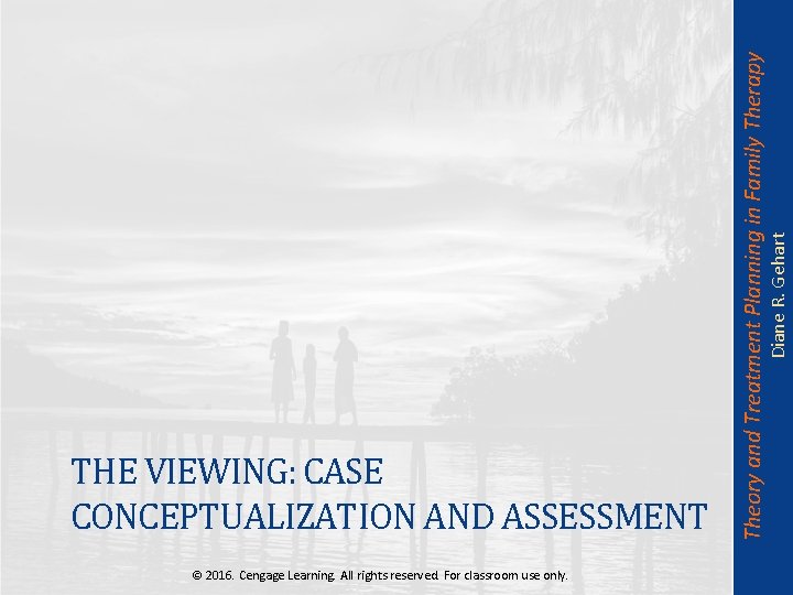 Diane R. Gehart Theory and Treatment Planning in Family Therapy THE VIEWING: CASE CONCEPTUALIZATION