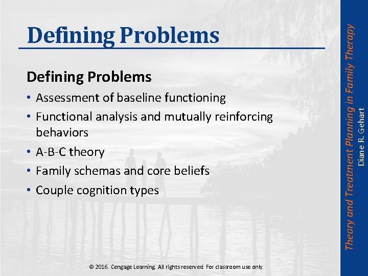  • Assessment of baseline functioning • Functional analysis and mutually reinforcing behaviors •