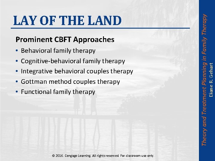  • • • Behavioral family therapy Cognitive-behavioral family therapy Integrative behavioral couples therapy