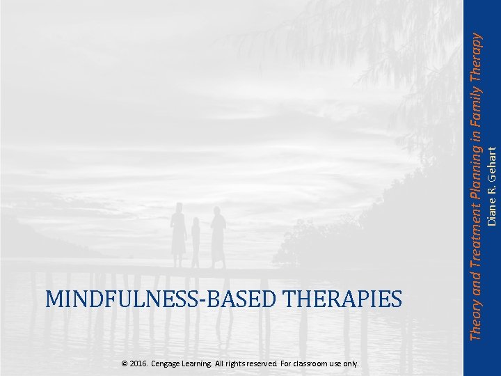 Diane R. Gehart Theory and Treatment Planning in Family Therapy MINDFULNESS-BASED THERAPIES © 2016.