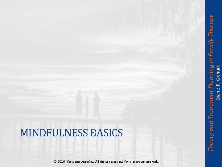 Diane R. Gehart Theory and Treatment Planning in Family Therapy MINDFULNESS BASICS © 2016.