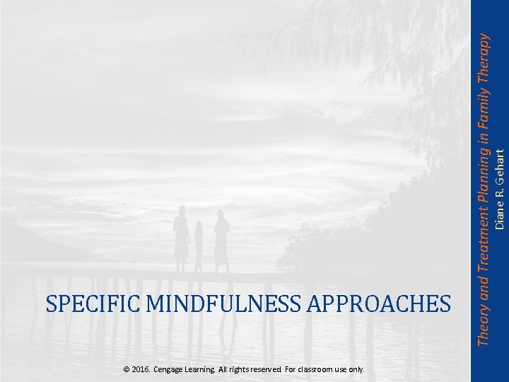 Diane R. Gehart Theory and Treatment Planning in Family Therapy SPECIFIC MINDFULNESS APPROACHES ©