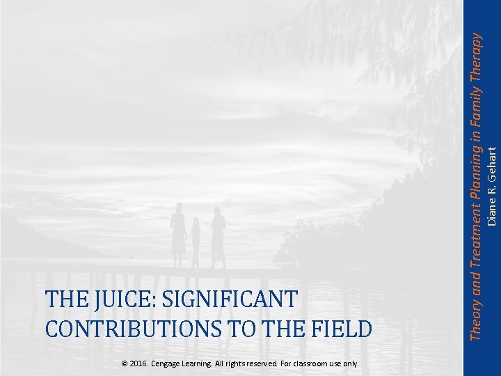 Diane R. Gehart Theory and Treatment Planning in Family Therapy THE JUICE: SIGNIFICANT CONTRIBUTIONS