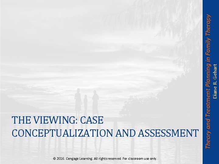 Diane R. Gehart Theory and Treatment Planning in Family Therapy THE VIEWING: CASE CONCEPTUALIZATION