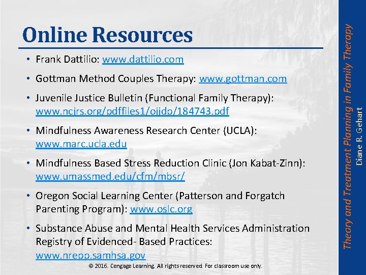  • Gottman Method Couples Therapy: www. gottman. com • Juvenile Justice Bulletin (Functional