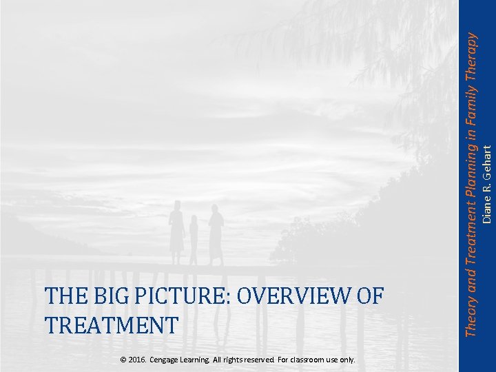 Diane R. Gehart Theory and Treatment Planning in Family Therapy THE BIG PICTURE: OVERVIEW