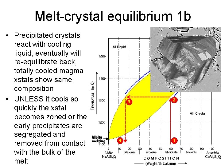 Melt-crystal equilibrium 1 b • Precipitated crystals react with cooling liquid, eventually will re-equilibrate