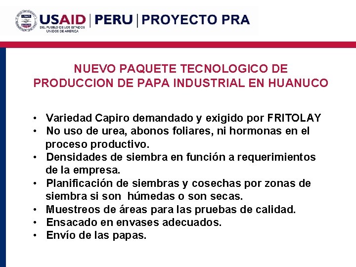 NUEVO PAQUETE TECNOLOGICO DE PRODUCCION DE PAPA INDUSTRIAL EN HUANUCO • Variedad Capiro demandado