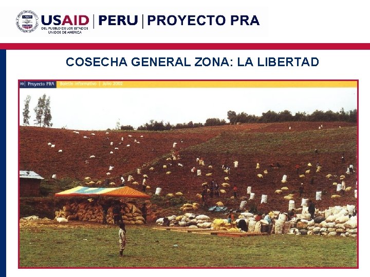 COSECHA GENERAL ZONA: LA LIBERTAD 