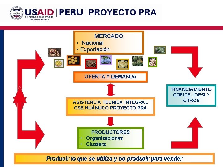 MERCADO • Nacional • Exportación OFERTA Y DEMANDA ASISTENCIA TECNICA INTEGRAL CSE HUÁNUCO PROYECTO