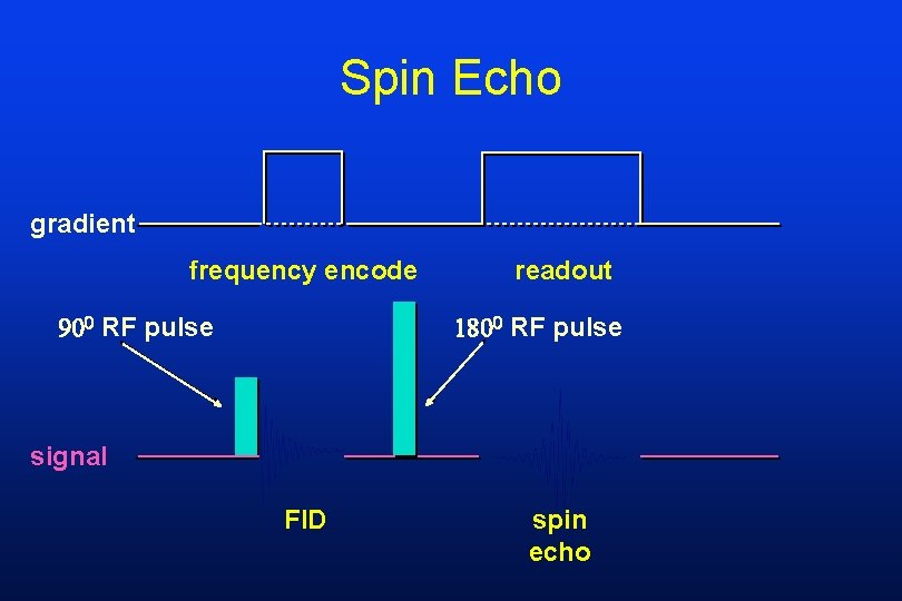 Spin Echo gradient frequency encode RF pulse readout RF pulse signal FID spin echo