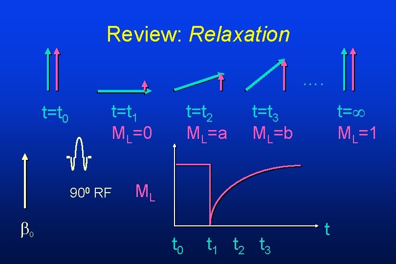 Review: Relaxation …. t=t 0 t=t 1 ML=0 900 RF t=t 2 ML=a t=t