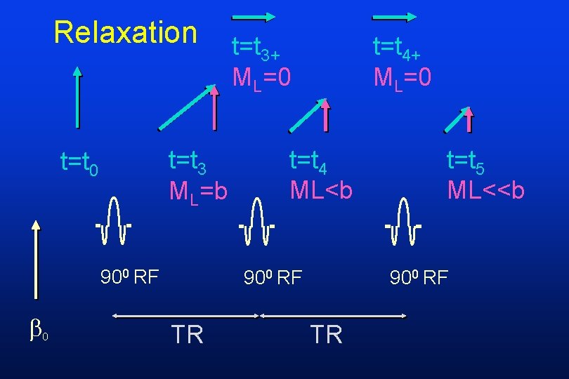 Relaxation t=t 3 ML=b t=t 0 900 RF t=t 3+ ML=0 t=t 4 ML<b