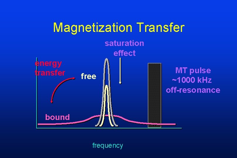 Magnetization Transfer saturation effect energy transfer free bound frequency MT pulse ~1000 k. Hz
