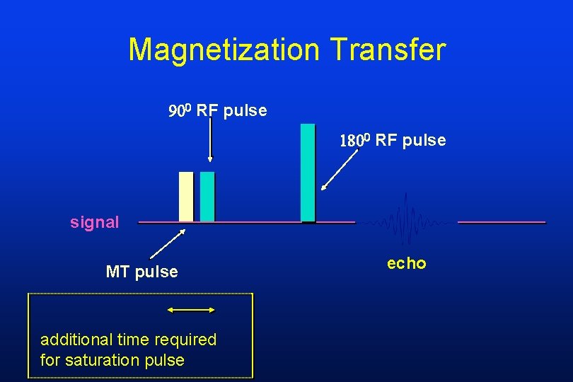 Magnetization Transfer RF pulse signal MT pulse additional time required for saturation pulse echo