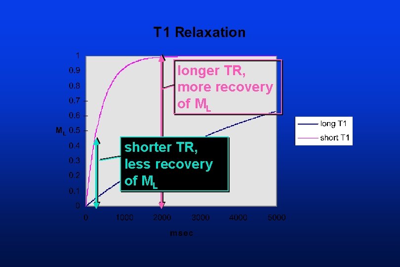 longer TR, more recovery of ML shorter TR, less recovery of ML 