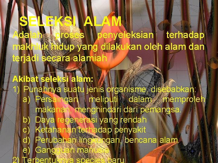 SELEKSI ALAM mudah dan menyenangkan Adalah proses penyeleksian terhadap makhluk hidup yang dilakukan oleh