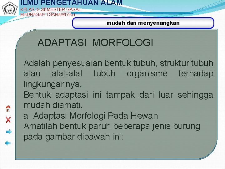 ILMU PENGETAHUAN ALAM KELAS IX SEMESTER GASAL MADRASAH TSANAWIYAH mudah dan menyenangkan ADAPTASI MORFOLOGI