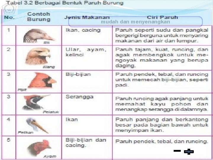 mudah dan menyenangkan 