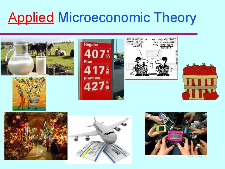 Applied Microeconomic Theory 